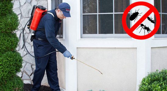Eğirdir Hamam Böceği İlaçlama böcek ilaçlama ve haşere kontrolü — ilaclama-tr.com
